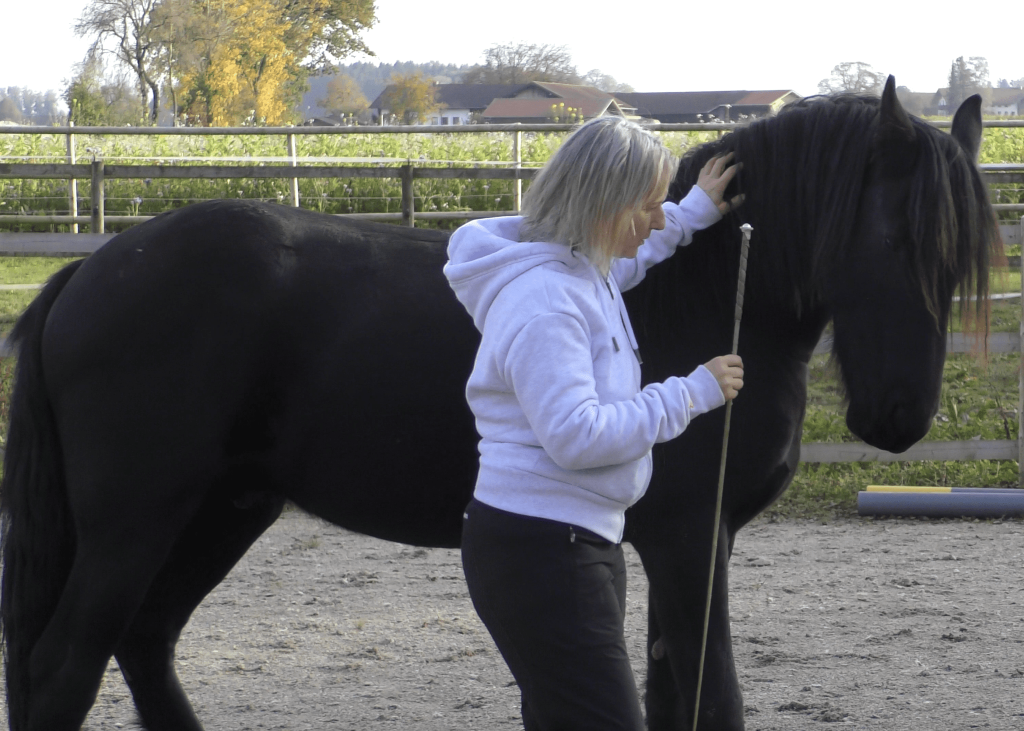 Finn und Sandra Reitplatz 2019 10 21 Um 17.35.17