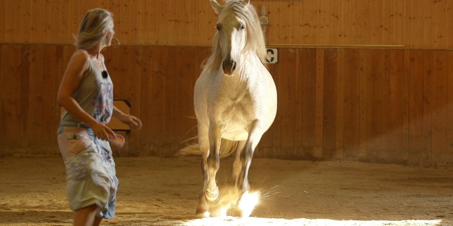 Angebot Workshop Chi 02