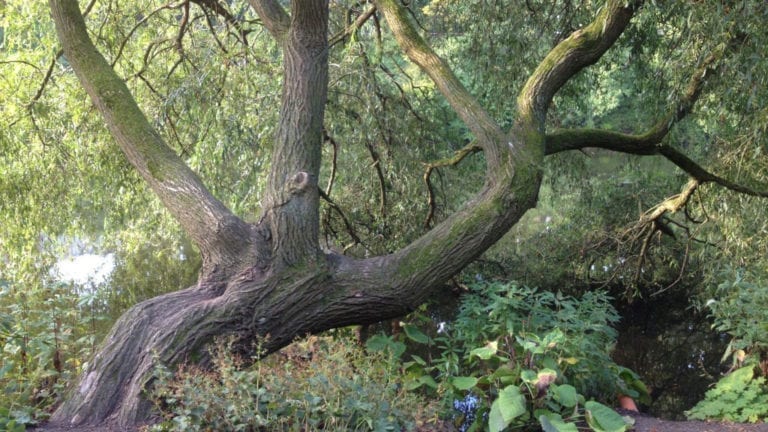 Ueber Mich Krankheiten Als Ventil Beitragsbild 01