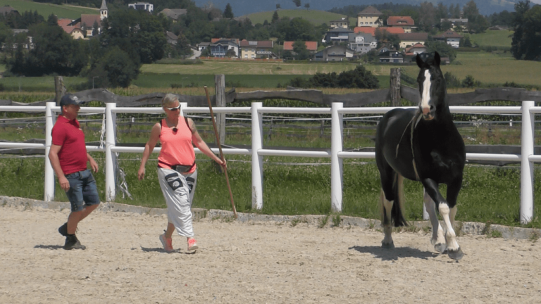 Hengst Dhago, Besitzer Hannes Offner, Alexandra König Saliho School 2020