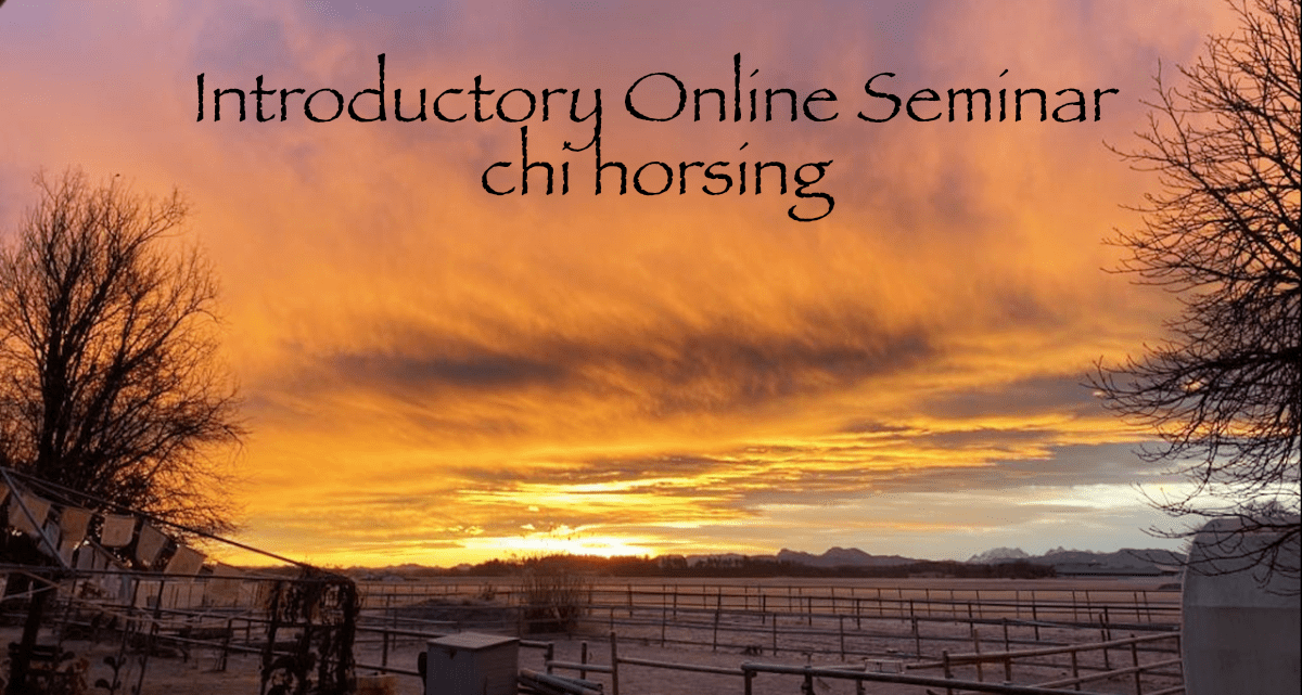 Introductory Online Seminar [Digital]