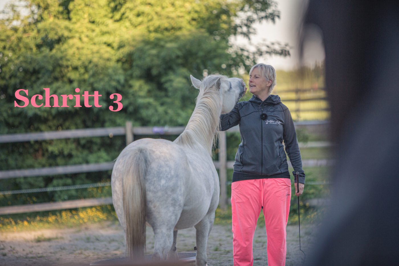 Schritt 3