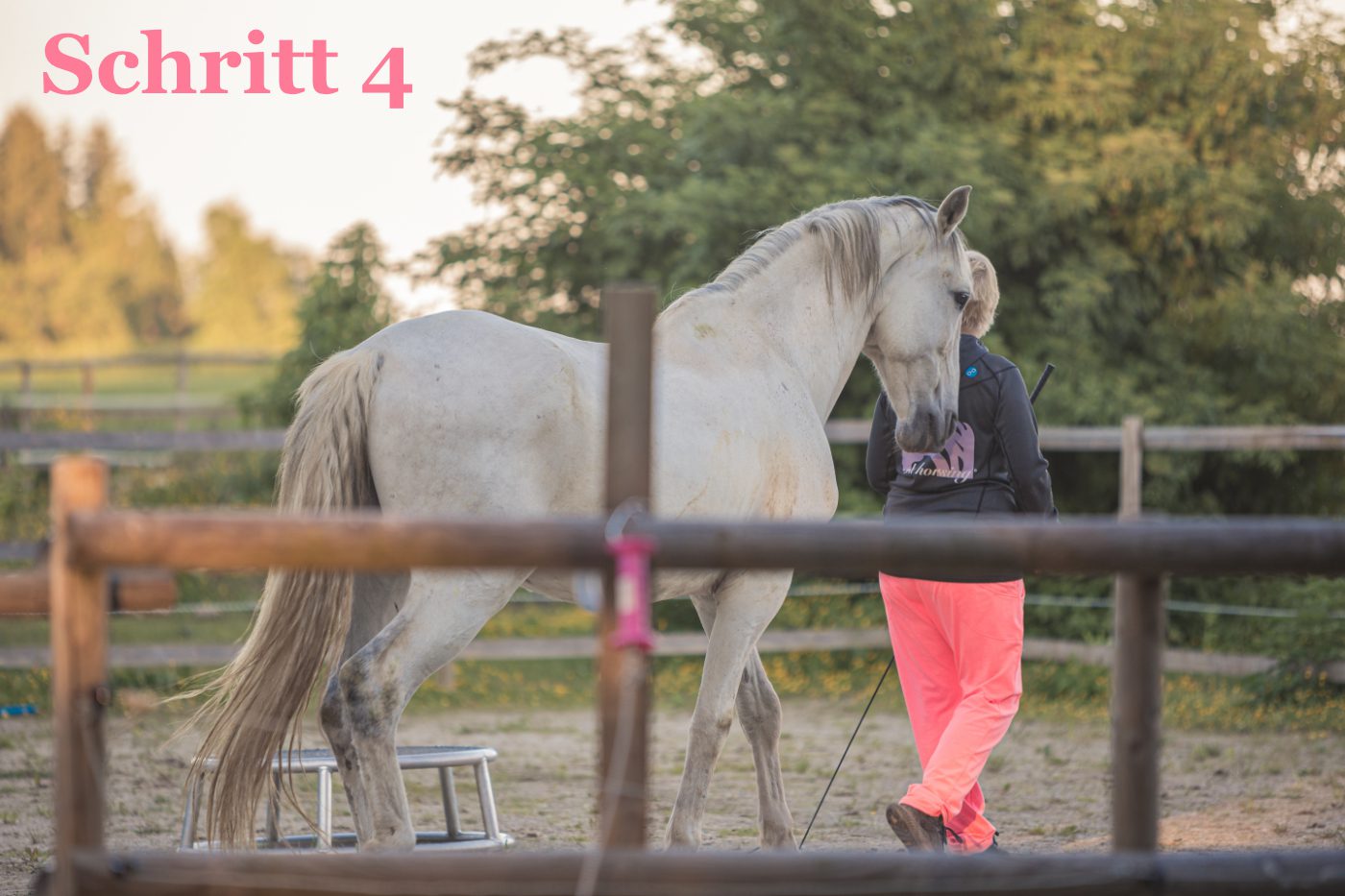 Schritt 4
