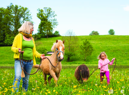 Kinder Unterrichten 430 70