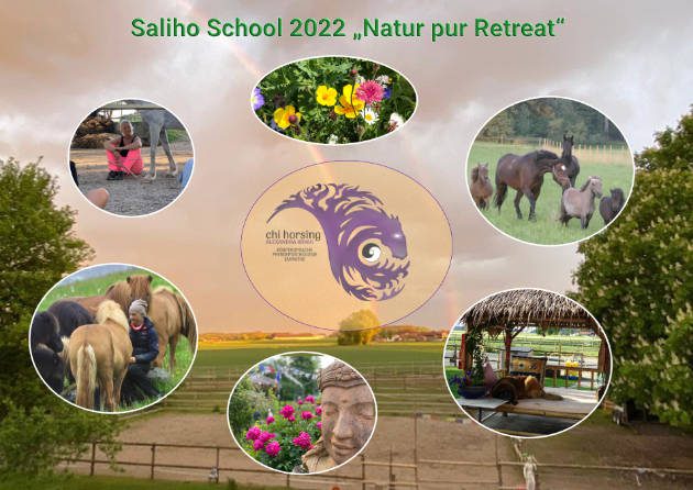 Retreat 630 70