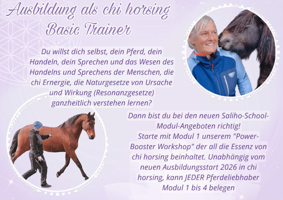 Bild 2026 Trainer HP