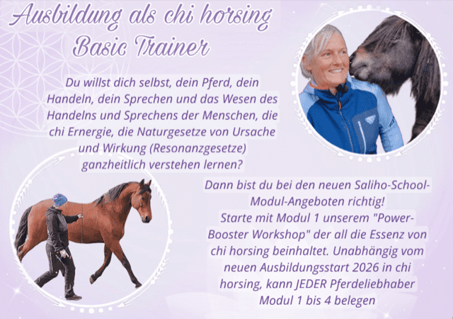 Chi horsing basic trainer 2026