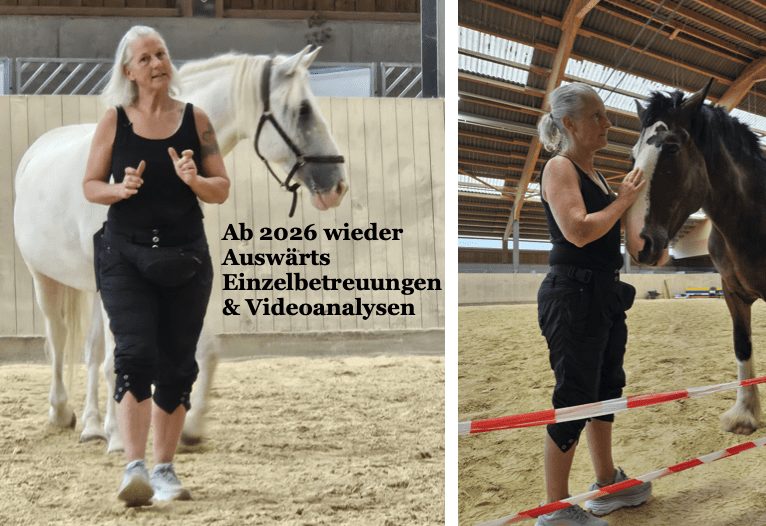 Einzelcoaching und Beratung