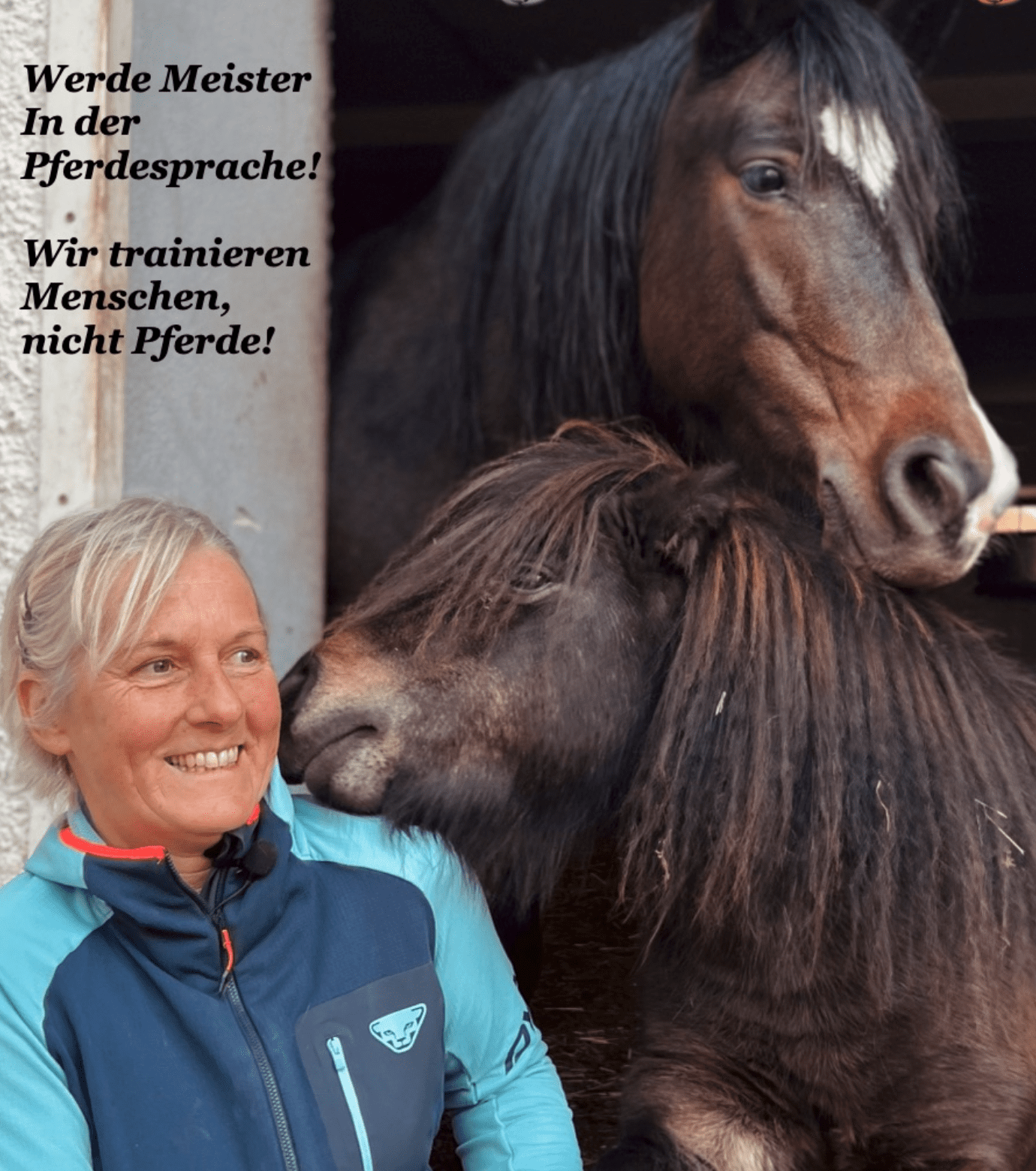 Best of Fragen und Antworten